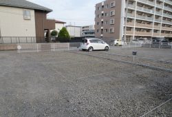 IMG_0262s